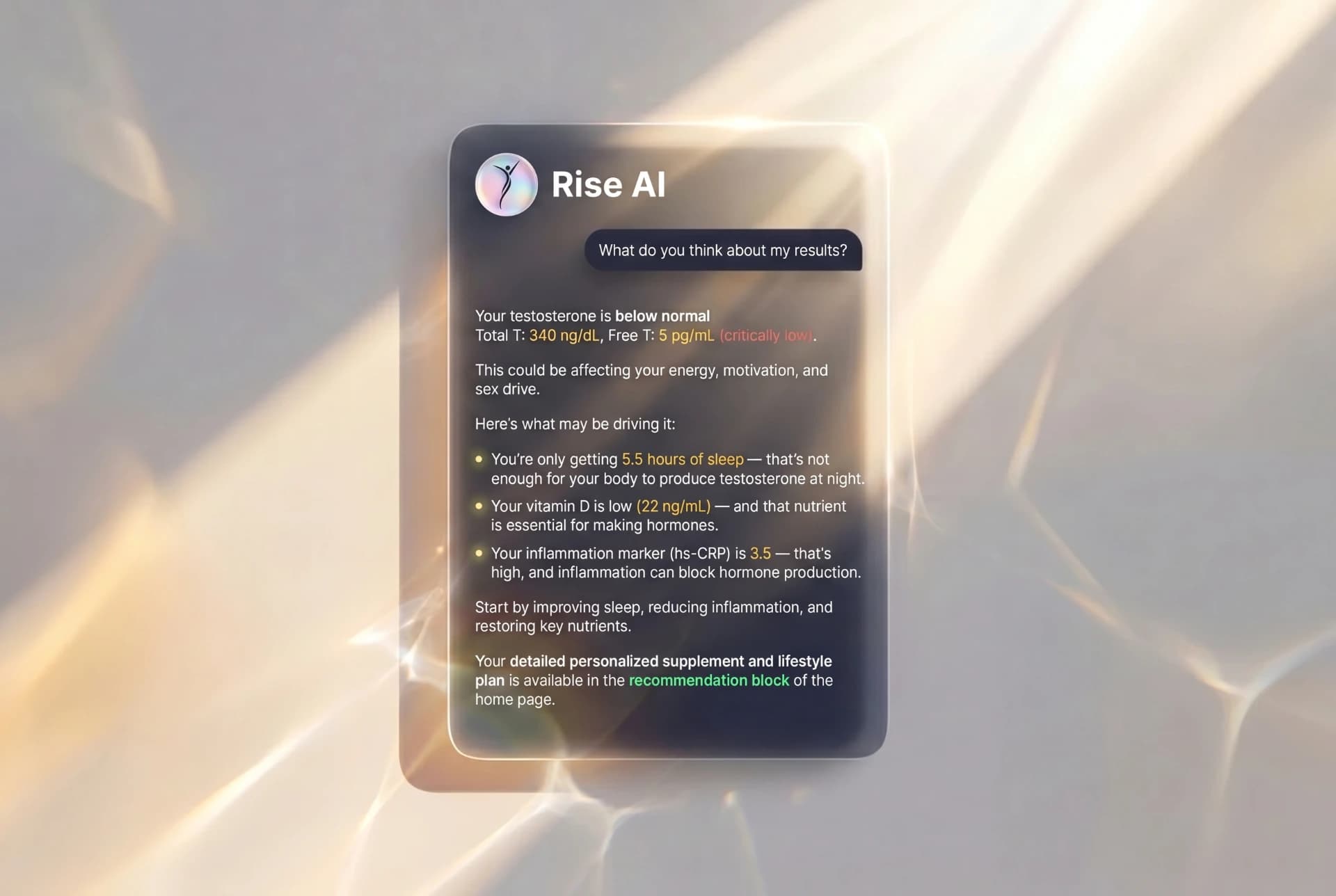 Talk to Rise AI